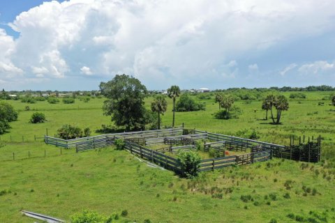 Land in Okeechobee, Florida № 1216039 - photo 5