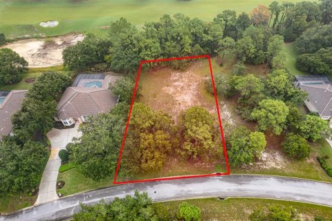 Terreno en venta en Lecanto, Florida № 1351176 - foto 1