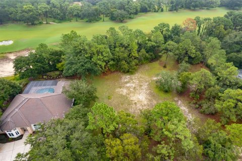 Terreno en venta en Lecanto, Florida № 1351176 - foto 10