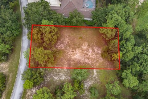 Terreno en venta en Lecanto, Florida № 1351176 - foto 3