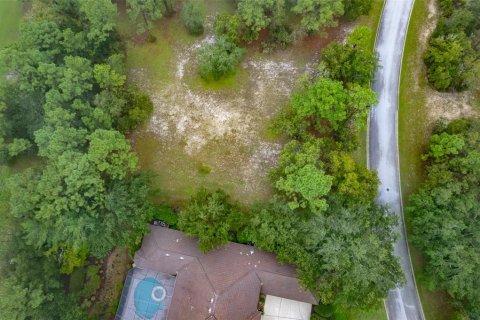 Terreno en venta en Lecanto, Florida № 1351176 - foto 9