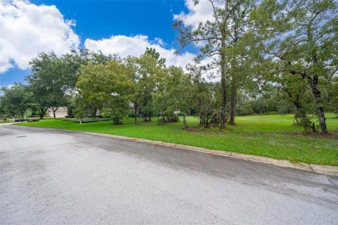 Terreno en venta en Lecanto, Florida № 1351176 - foto 8