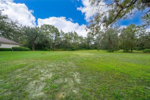 Terreno en venta en Lecanto, Florida № 1351176 - foto 7