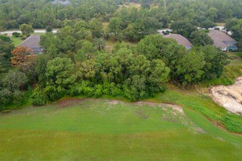 Terreno en venta en Lecanto, Florida № 1351176 - foto 11