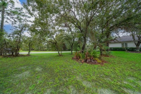 Land in Lecanto, Florida № 1351176 - photo 6