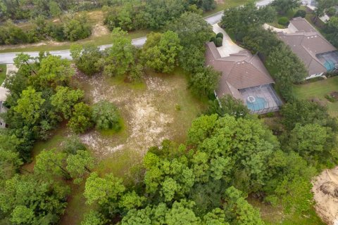 Land in Lecanto, Florida № 1351176 - photo 4