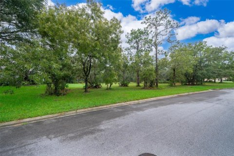 Terreno en venta en Lecanto, Florida № 1351176 - foto 13