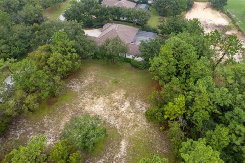 Terreno en venta en Lecanto, Florida № 1351176 - foto 12