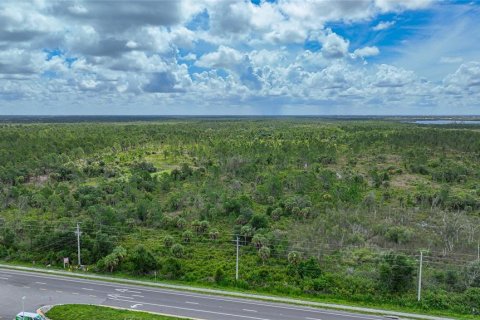 Land in Port Charlotte, Florida № 1263648 - photo 10