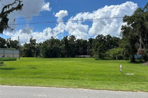 Land in Ocala, Florida № 1374001 - photo 1