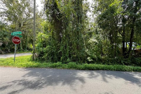 Terreno en venta en Kissimmee, Florida № 1334049 - foto 1