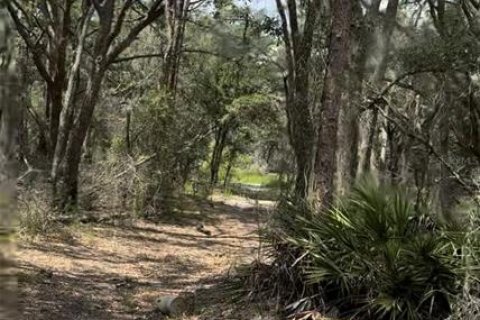 Terrain à vendre à Dunnellon, Floride № 1346666 - photo 4