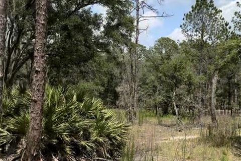 Terreno en venta en Dunnellon, Florida № 1346666 - foto 2