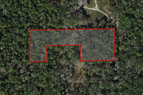 Terreno en venta en Dunnellon, Florida № 1346666 - foto 1