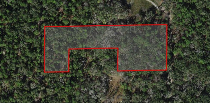 Terreno en Dunnellon, Florida № 1346666