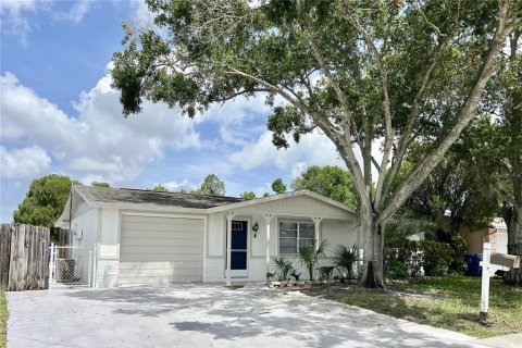 House in Holiday, Florida 4 bedrooms, 153.85 sq.m. № 1353405 - photo 2