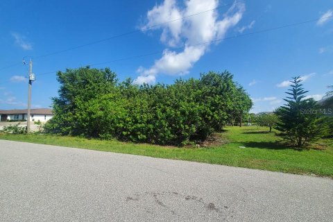 Купить земельный участок в Порт-Шарлотт, Флорида № 216770 - фото 1