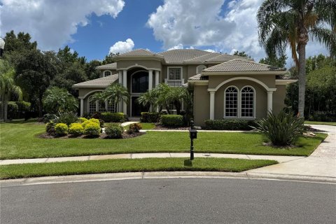 Villa ou maison à vendre à Tampa, Floride: 4 chambres, 572.46 m2 № 1299515 - photo 1