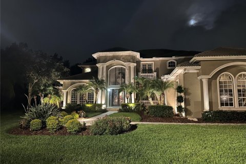 Villa ou maison à vendre à Tampa, Floride: 4 chambres, 572.46 m2 № 1299515 - photo 14