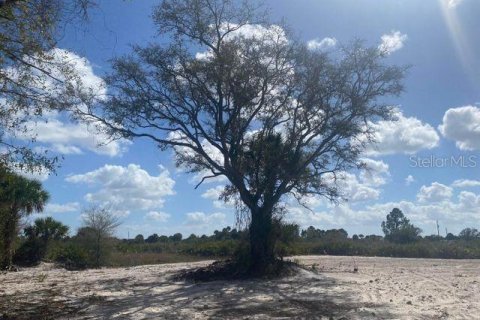 Terrain à vendre à Okeechobee, Floride № 221687 - photo 3
