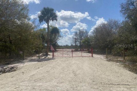 Купить земельный участок в Окичоби, Флорида № 221687 - фото 2