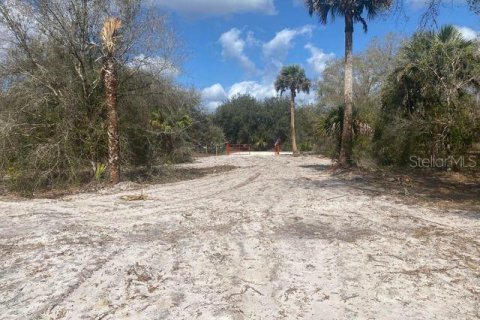 Land in Okeechobee, Florida № 221687 - photo 4