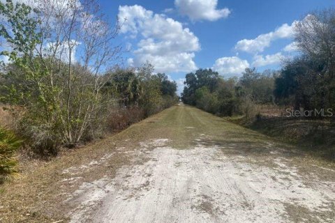 Terrain à vendre à Okeechobee, Floride № 221687 - photo 13