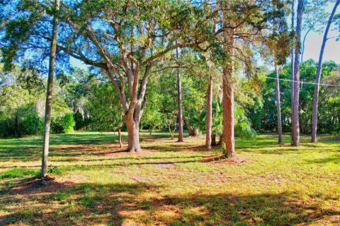 Купить земельный участок в Тампа, Флорида № 852410 - фото 8