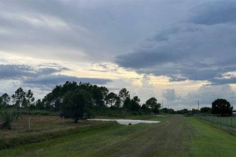 Terreno en venta en Okeechobee, Florida № 1292856 - foto 2