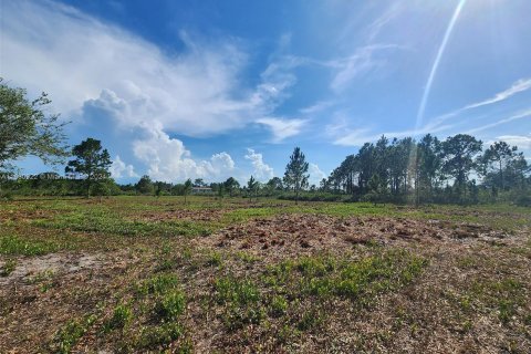 Terreno en venta en Okeechobee, Florida № 1292856 - foto 7