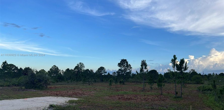 Terreno en Okeechobee, Florida № 1292856