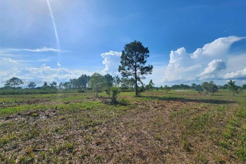 Terreno en venta en Okeechobee, Florida № 1292856 - foto 4