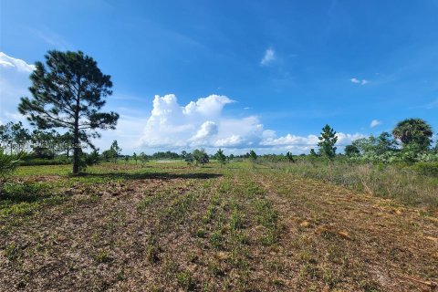 Terreno en venta en Okeechobee, Florida № 1292856 - foto 6