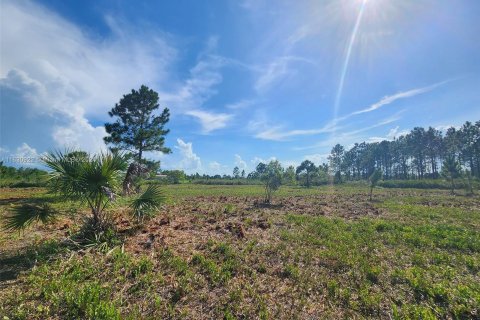 Terreno en venta en Okeechobee, Florida № 1292856 - foto 8