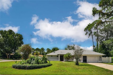 Villa ou maison à vendre à Palm Coast, Floride: 3 chambres, 155.24 m2 № 1352966 - photo 2