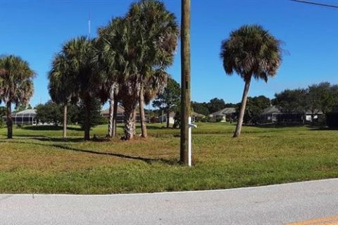 Terreno en venta en Rotonda, Florida № 1082760 - foto 1