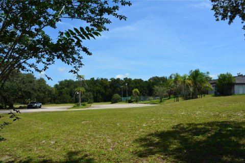 Land in DeLand, Florida № 623854 - photo 3