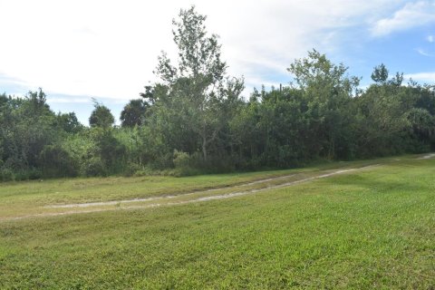 Купить земельный участок в Окичоби, Флорида № 691724 - фото 13
