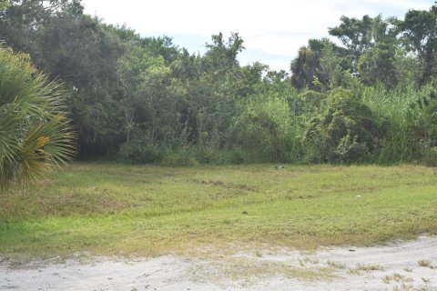 Купить земельный участок в Окичоби, Флорида № 691724 - фото 12