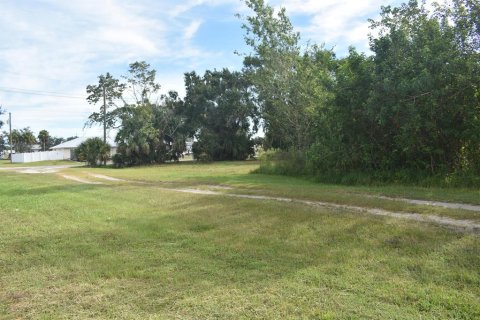 Купить земельный участок в Окичоби, Флорида № 691724 - фото 8