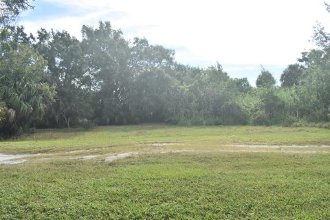 Купить земельный участок в Окичоби, Флорида № 691724 - фото 11