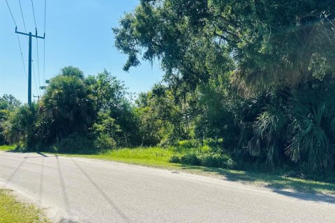 Купить земельный участок в Окичоби, Флорида № 691724 - фото 2
