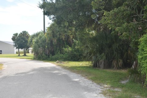 Купить земельный участок в Окичоби, Флорида № 691724 - фото 7