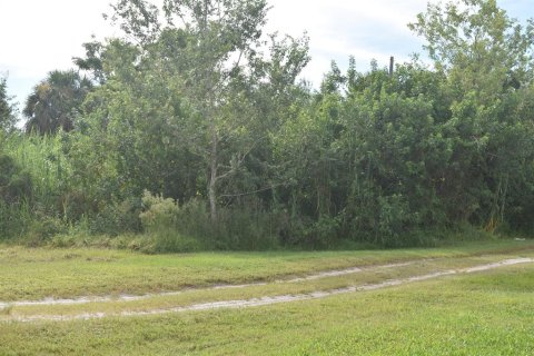 Купить земельный участок в Окичоби, Флорида № 691724 - фото 9