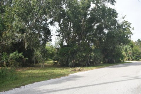 Купить земельный участок в Окичоби, Флорида № 691724 - фото 6