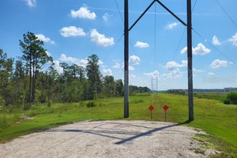 Terrain à vendre à Orlando, Floride № 235252 - photo 5