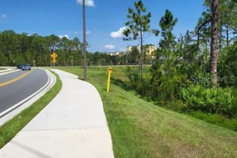 Купить земельный участок в Орландо, Флорида № 235252 - фото 9