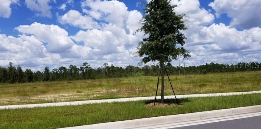 Land in Orlando, Florida № 235252