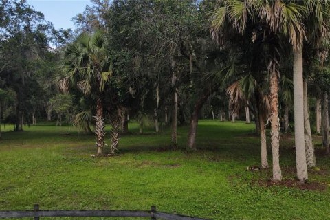 Terreno en venta en Lake Panasoffkee, Florida № 1336401 - foto 12