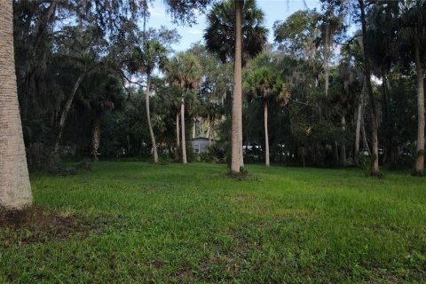 Terreno en venta en Lake Panasoffkee, Florida № 1336401 - foto 7